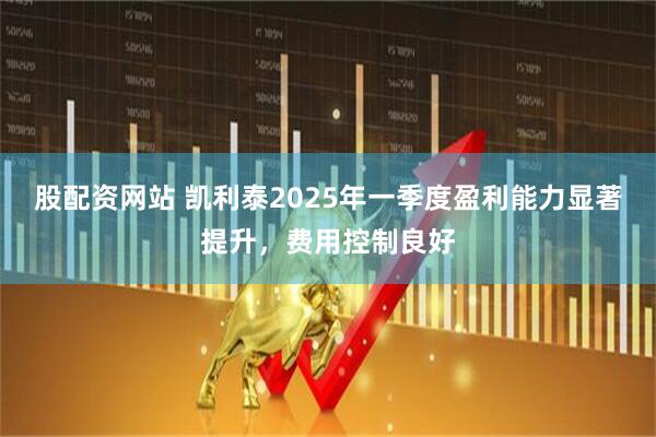 股配资网站 凯利泰2025年一季度盈利能力显著提升，费用控制良好