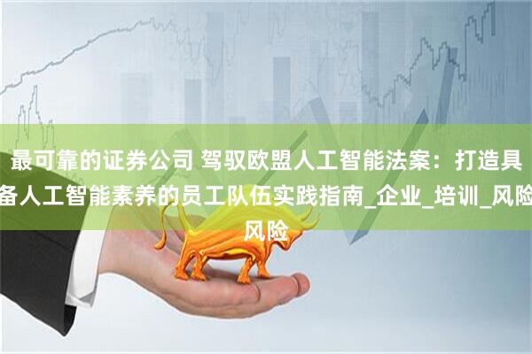 最可靠的证券公司 驾驭欧盟人工智能法案：打造具备人工智能素养的员工队伍实践指南_企业_培训_风险