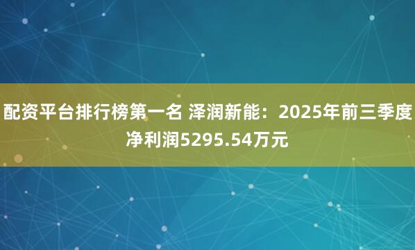 配资平台排行榜第一名 泽润新能：2025年前三季度净利润5295.54万元